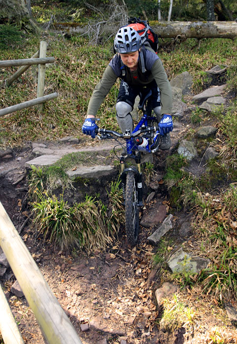 Singletrails forchheim